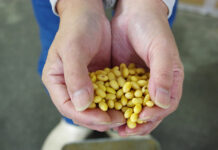 ひきもと豆腐店